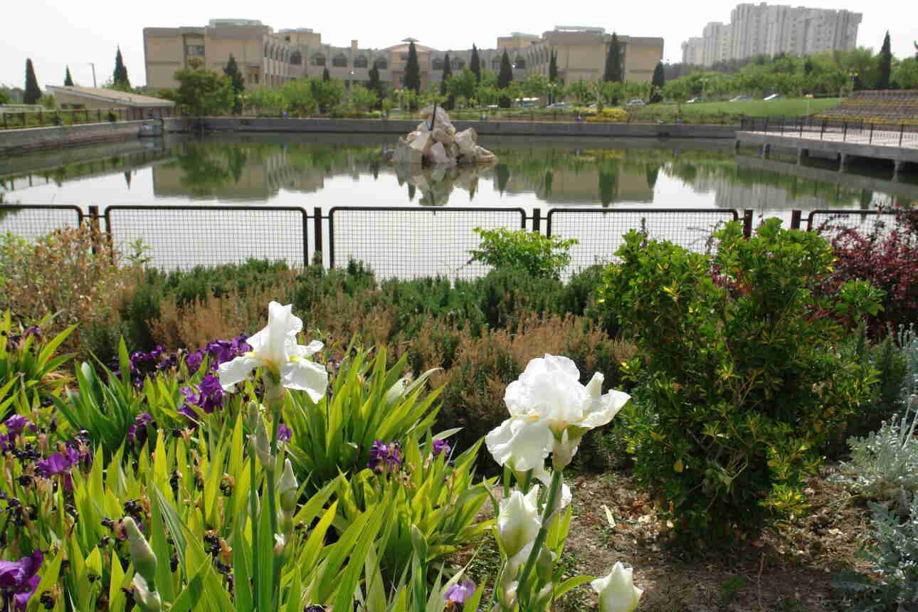 تعاونی مصرف کارکنان، همراهی مطمئن برای تأمین نیازهای روزمره کارکنان با رویکردی مبتنی بر کیفیت،صرفه اقتصادی و اعتماد است.